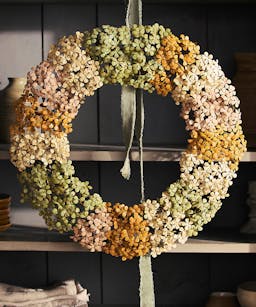 Hydrangea Colorblocked Iron Wreath