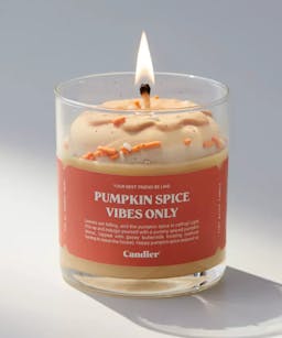 Candier Pumpkin Spice Vibes Only Candle