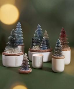 Frosted Bottle Brush Tree Candle